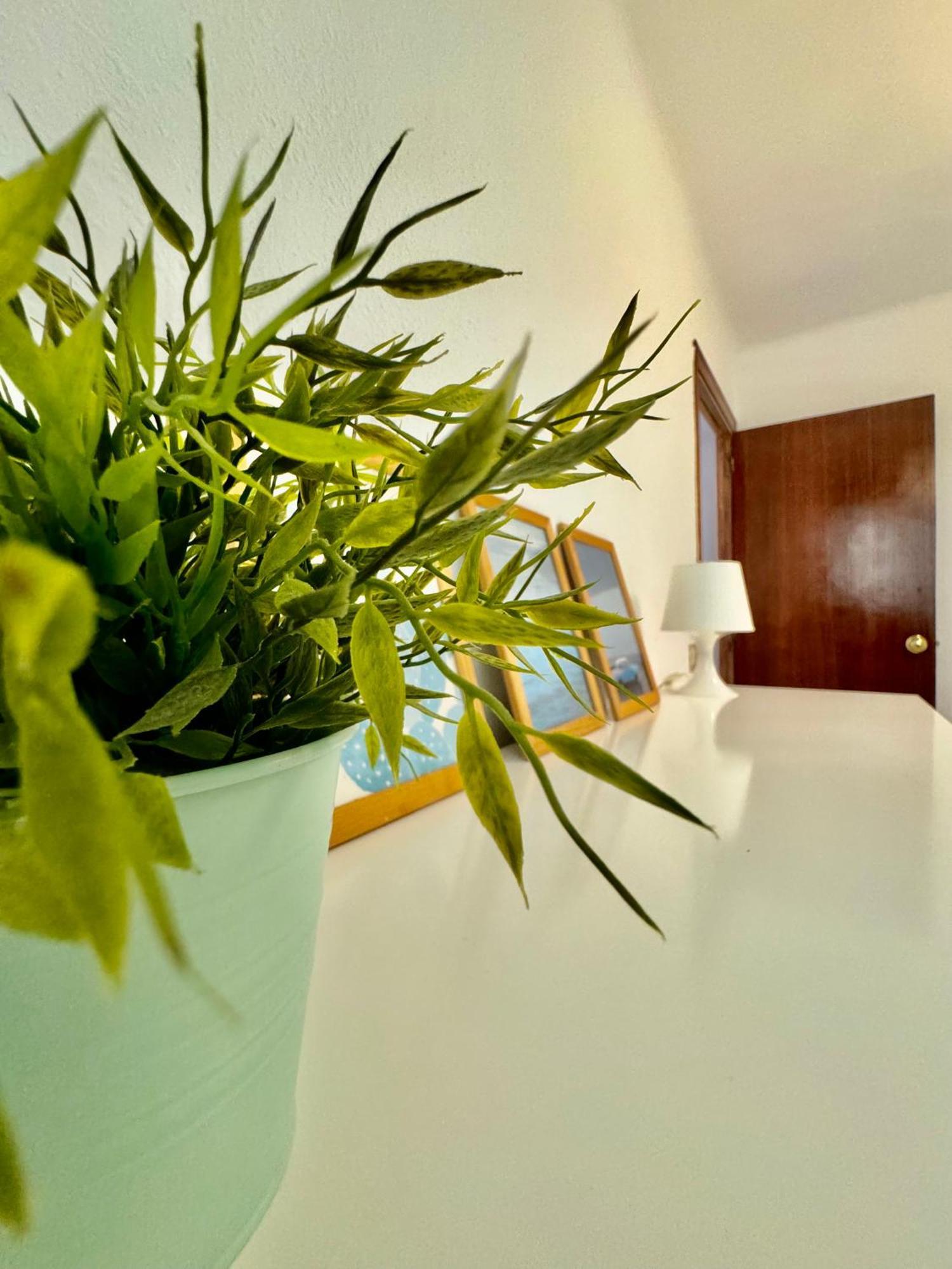 Acogedor Apartamento En Malaga Exterior photo