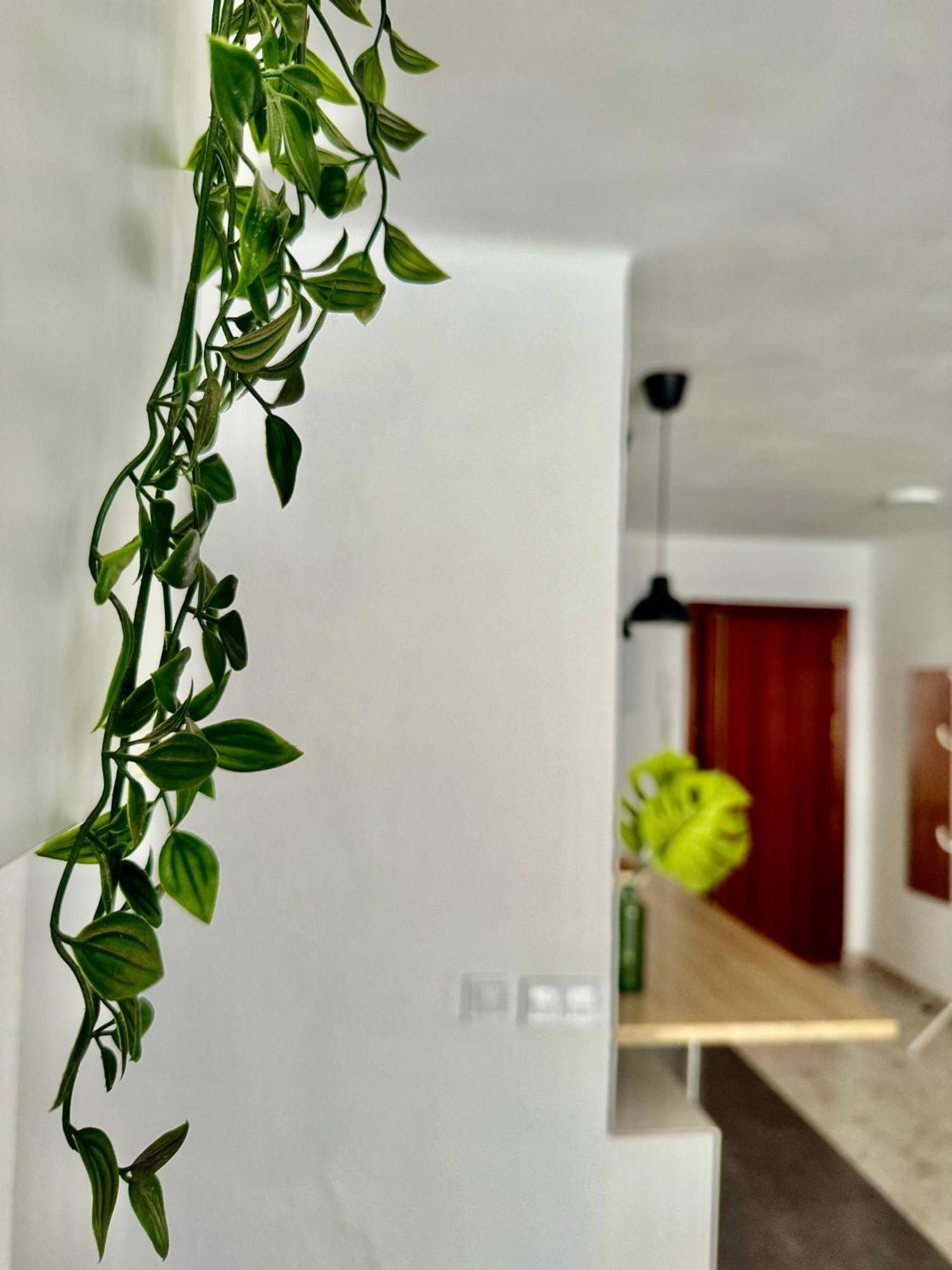 Acogedor Apartamento En Malaga Exterior photo